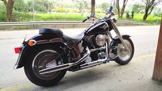 Harley Davidson Fat Boy Evo 1340 [upl. by Essam]