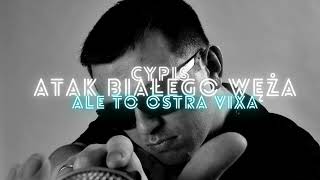 CYPIS ATAK BIAŁEGO WĘŻA ALE TO OSTRA VIXA [upl. by Caitrin]