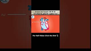 Insan ka heart 30 ft ki Unchai tk blood phenk sakta hai facts heart RjDunia [upl. by Eisenberg431]