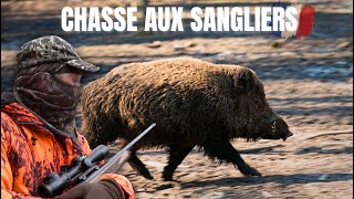 Chasse aux sangliers en Sologne part 2 [upl. by Rukna]