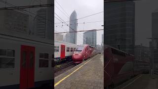 Eurostar highspeed train TGV PBKA at BrusselsNord station 🇧🇪 [upl. by Enelyahs]