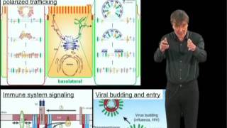 Kai Simons MPI Part 2 Lipid rafts as a membrane organizing principle [upl. by Ellicec]