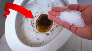 The Secret to a Spotless Toilet Say goodbye to a dirty toilet bowl forever with just salt [upl. by Ayhdiv399]