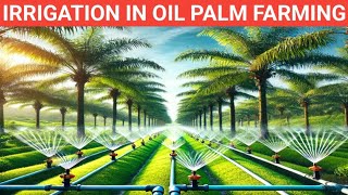 Cost Implications and Benefits of Irrigation in Commercial Oil Palm Farming [upl. by Tung920]