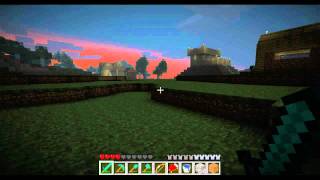 Minecraft Go WestPart 8 [upl. by Alimrahs]