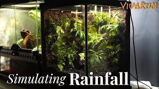 I made a Rainfall vivarium from scratch [upl. by Frodeen373]