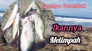 MANCING CASTINGSPOTNYA BEROMBAK IKANNYA BANYAKMANTAP [upl. by Nytsirt]