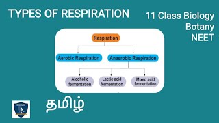 Types of Respiration in Tamil  Respiration  Botany I Class 11  NEET  TNSCERT [upl. by Behre]