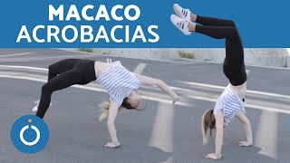 Como fazer o MACACO capoeira  Acrobacias [upl. by Eelrac227]