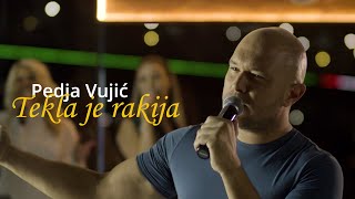 Pedja Vujic  Tekla je rakija  Bekrija Cover 2021 [upl. by Gaven]