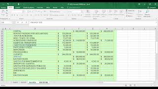 Tutorial Caso Catita parte 3 [upl. by Eirehc]