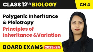 Polygenic Inheritance amp Pleiotropy  Principles of Inheritance and Variation  Class 12 Biology Ch 4 [upl. by Cottle307]