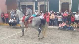 Fiestas Patrias 2014 Union de San Antonio Jalisco [upl. by Cyn]