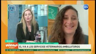 ¿El alza de IVA a los servicios veterinarios impactará la salud de tu mascota Colmevet responde [upl. by Euqinimod]