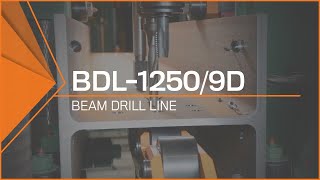 BDL12509D Beam Drill Line Heavy Duty Steel Beam Processing [upl. by Euqcaj]