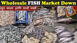 Starting Rs50  Market Down मच्छी झाली स्वस्त  CST Wholesale fish market  Subhash Vanage [upl. by Iramohs]