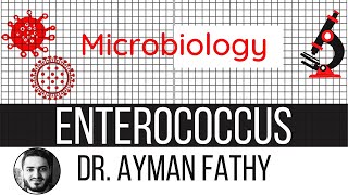 Enterococcus  USMLE Step 1 Microbiology  Dr Ayman Fathy [upl. by Notserc]