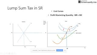 Lump Sum vs PerUnit tax [upl. by Airres917]