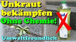 Einfaches Hausmittel Unkraut bekämpfen umweltfreundlich ohne Chemie  Gardening Tipp [upl. by Khorma]