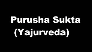 Purusha Sukta Yajurveda [upl. by Gnut]