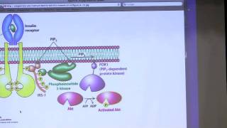 Kevin Aherns BiteSized Biochemistry 19 Cellular Signaling II [upl. by Egwan]