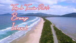 🌴 Bruny Island Travel Guide  Trip to Tassie [upl. by Gomez]