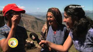 Hayvancılığa Bakış Hemşin Koyunu 11 Bölüm 1Kısım  Artvin Yusufeli [upl. by Enimzaj]