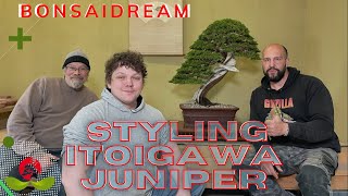 Styling Itoigawa Juniper [upl. by Airret]