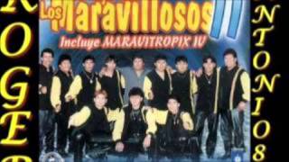 los maravillosos  herido corazon wmv [upl. by Eilsehc]