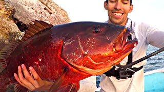 Pesca de PARGO GIGANTE  Pesca en Altamar [upl. by Farrow74]