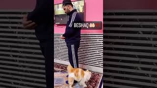 Beshaq☝️ trending viral latest shortsyoutube smartboy cutepaws furrball cutiepatootie ♥️♥️ [upl. by Nelak453]