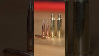 Hornady NEW 2025 Offerings in 25 caliber [upl. by Nyvek]