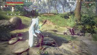 BLACK DESERT ONLINE  GAMEPLAY 496 [upl. by Cornew]