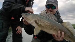 Huge Walleye Using Side Scanning on Hawk Lake  Fishn Canada [upl. by Socrates]