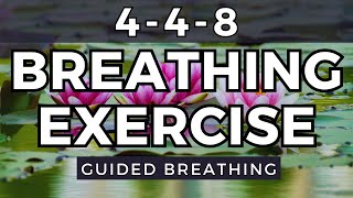 448 Breathing Technique for Stress [upl. by Skillern]