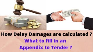 Delay Damages Calculation  Contracts Administration  Quantity Surveyor  FIDIC [upl. by Binni]