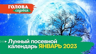 Голова садовая  Лунный посевной календарь ЯНВАРЬ 2023 [upl. by Cedar808]