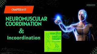 Chapter 17 Neuromuscular Coordination Part 1 kinesiology lectures [upl. by Aridni]