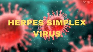 Herpes simplex virus  Keratitis  OPHTHALMOLOGY  USMLE  NEETPG  INICET  MBBS  Medical science [upl. by Luapnoj]