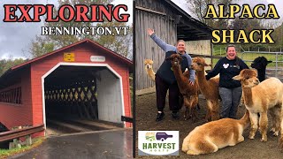 TRAVEL VLOG EPI 3  BENNINGTON VT  HARVEST HOST SHAFTSBURY ALPACAS  BENNINGTON BATTLE MONUMENT [upl. by Akehsay]