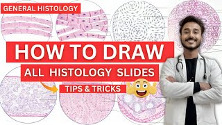 All general histology slide identification tricks  how to draw histology slides  histology viva [upl. by Nraa]