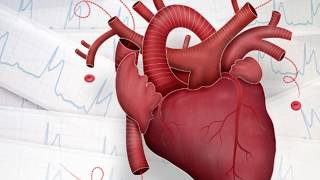 Main Signssymptom of Heart Diseaseमुटु रोगका प्रमुख १४ लक्षणहरु [upl. by Alet]