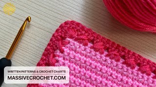 FAST amp EASY Crochet Border Pattern for Baby Blankets 😍 UNIQUE Crochet Edging  Beginner Friendly [upl. by Whalen]