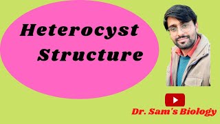 Detailed Structure of Heterocyst [upl. by Hanoy]