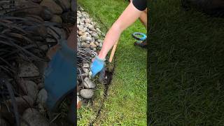 Garden Edging Transformationshorts diy garden lawn lawncare satisfying gardening lawnedging [upl. by Edyaj]