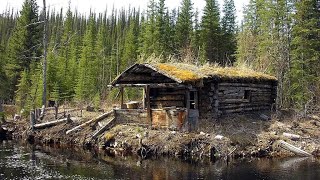 Family Laughed At Him For Inheriting Old Cabin But Then They Looked Inside [upl. by Boone]