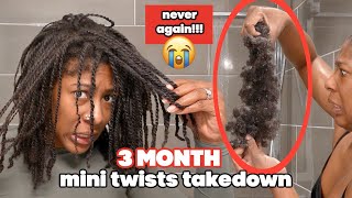 3 MONTH MINI TWISTS My Type 4 Natural Hair WASH DAY ROUTINE After Protective Style  Length Check [upl. by Lapotin835]