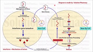 Topic 46 Antiviral Drugs  Interferon  Mechanism of Action  Interferon In Viral Infection [upl. by Seto]