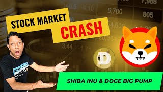 SHIBA INU and DOGE COIN रचेंगे नया इतिहास  ELON MUSK BIG UPDATE  INDAIN STOCK MARKET BIG CRASH [upl. by Ynad]