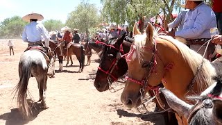 RODEO EN JOMULQUILLO JEREZ ZACATECAS [upl. by Ahsekan]